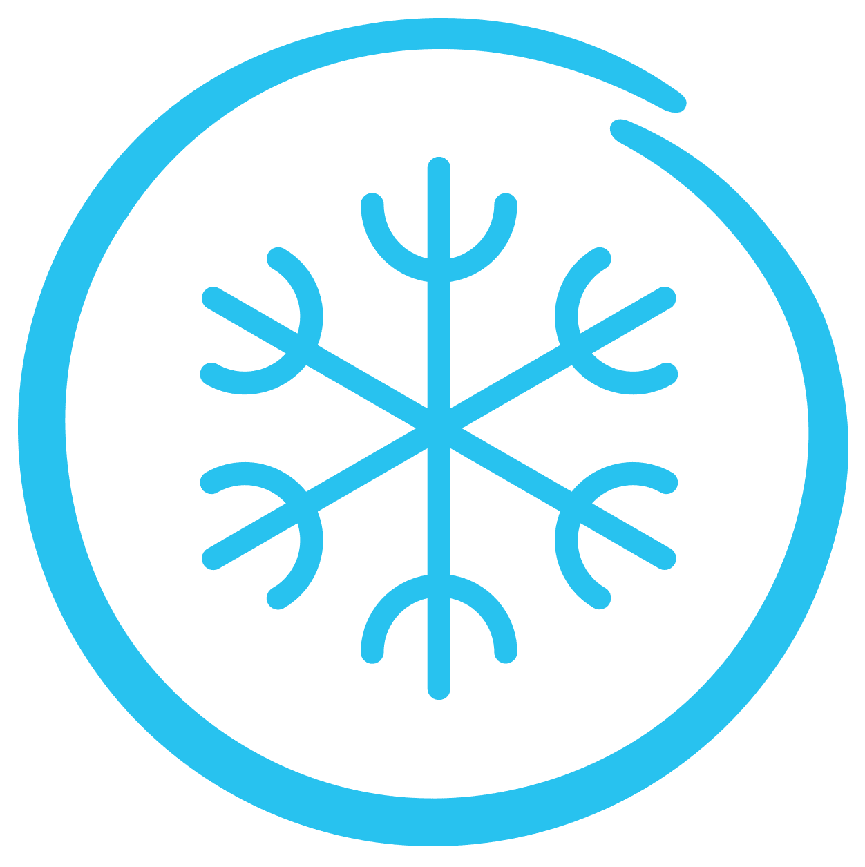 A blue snowflake in the middle of a circle.